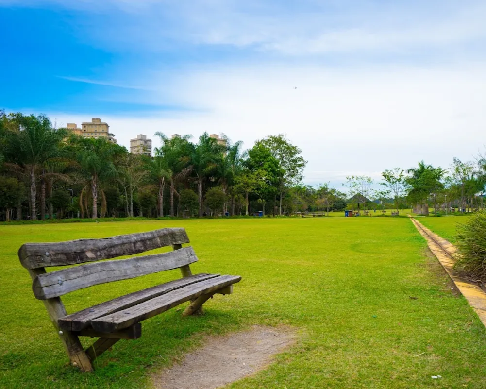 Banco de madeira em um gramado amplo de parque, com palmeiras ao fundo